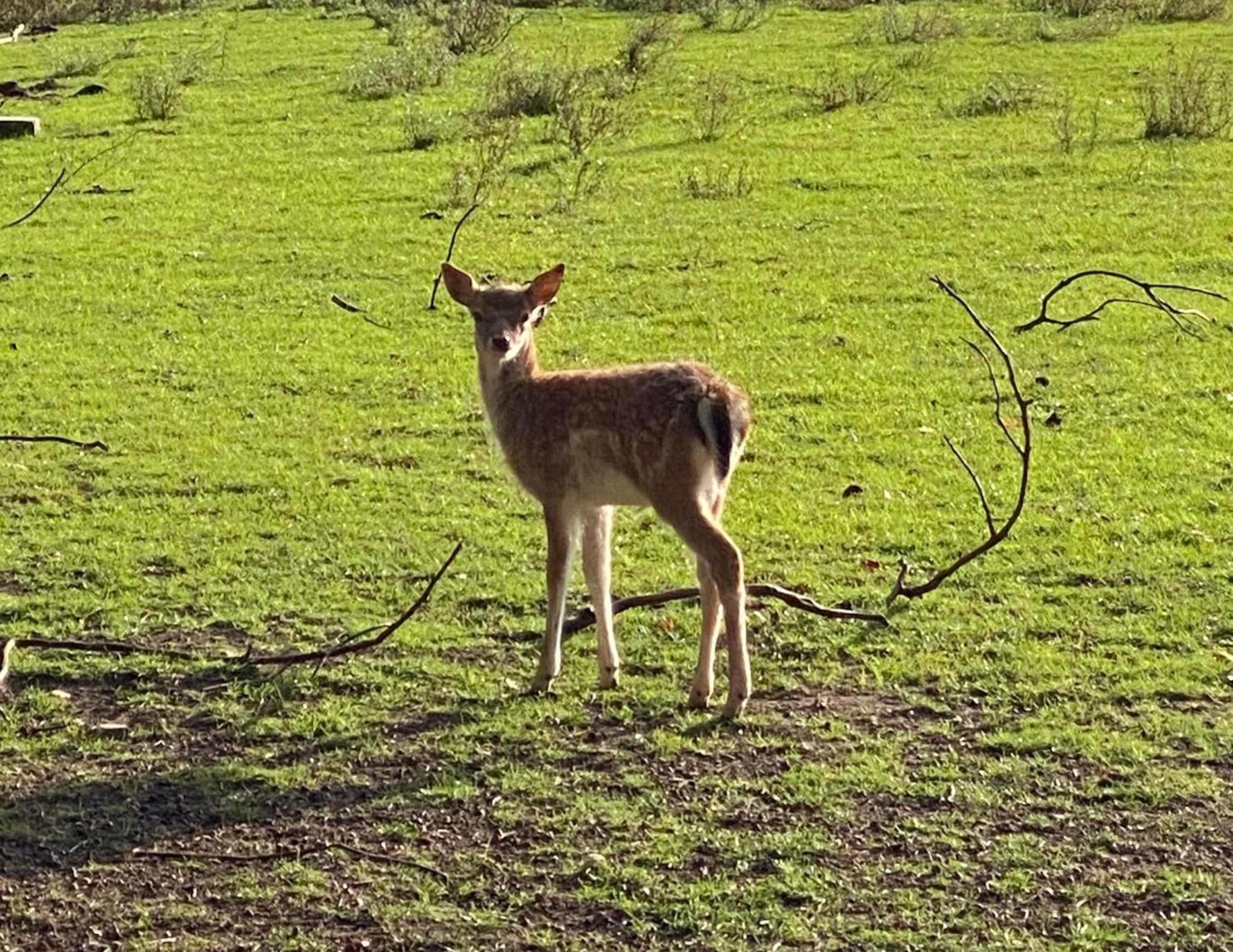 Het Zenhuisje Lanaken Bagian luar foto