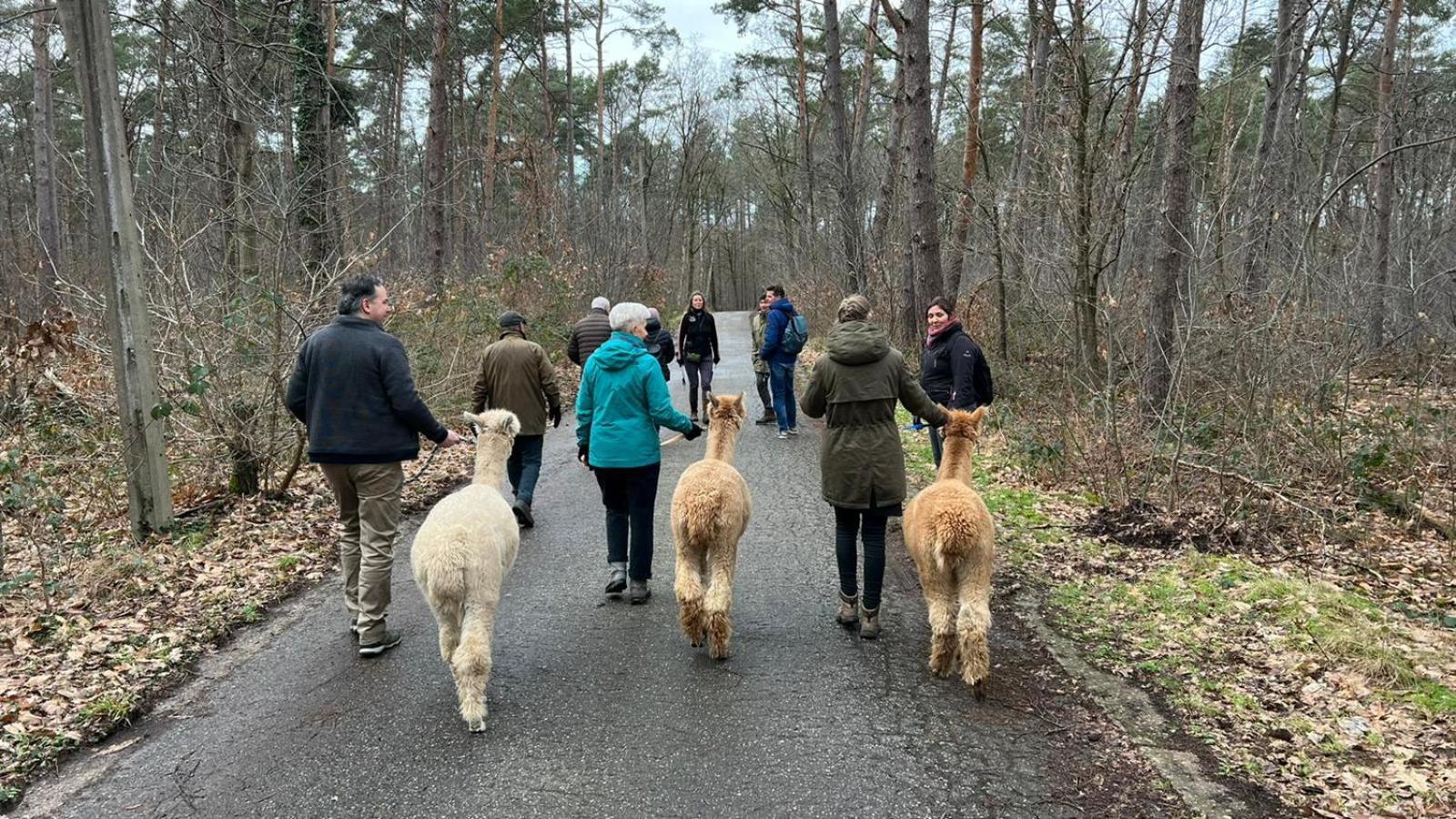 Het Zenhuisje Lanaken Bagian luar foto